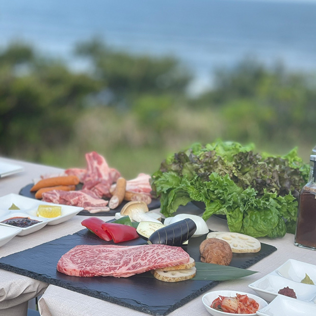海と緑とグリルセットのお肉や野菜