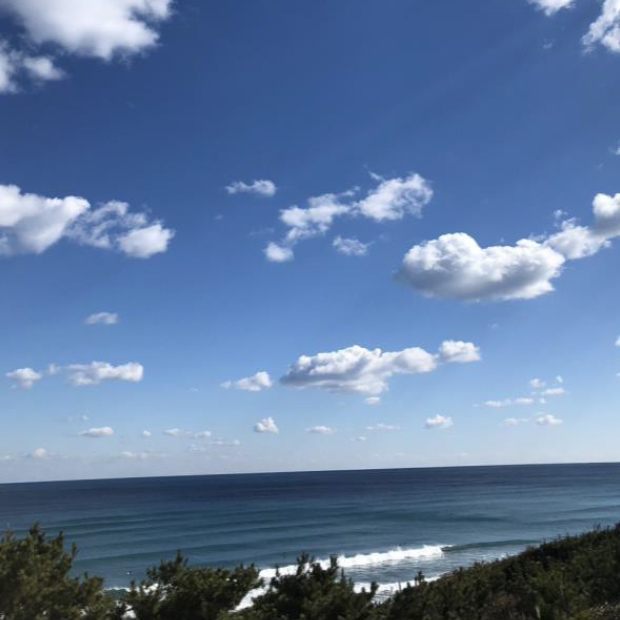 太平洋を見渡すプレミアムテラス